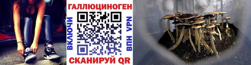 Купить  Томск  Галлюциногенные грибы MAGIC MUSHROOMS 